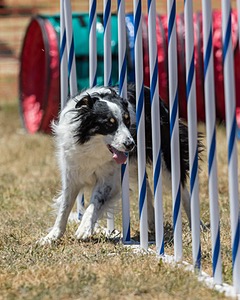 20160618-CCKC-1448.jpg