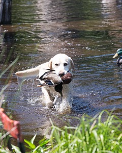 20130601-SHRW-0019.jpg