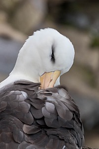 20191212-0057.jpg