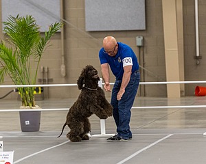700 - GCH Blackthorn’s Lass That Loves A Sailor in Wicklow CD RM CGC