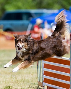 20150613-CCKC-0217.jpg