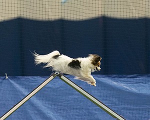 20150321-LEAP-1642.jpg