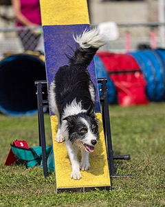 Leia Milheron