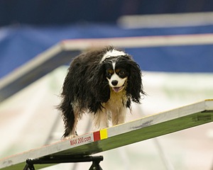 20150321-LEAP-1726.jpg