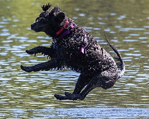 Winnie Lattrell