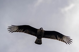 20260327-0034.jpg
