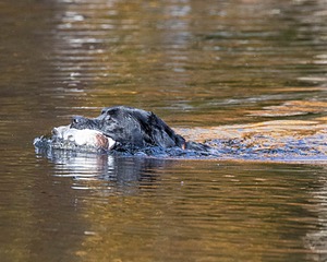20191013-WCIW-0005.jpg