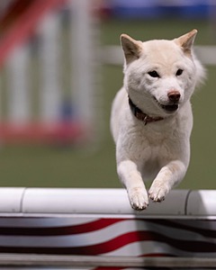 20260221-0116.jpg