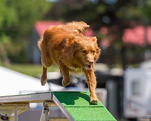 20180617-1427.jpg