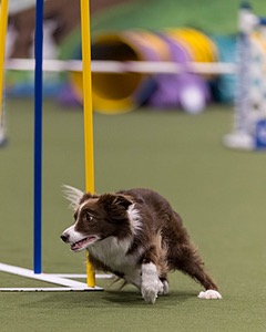 Mellie Hildreth