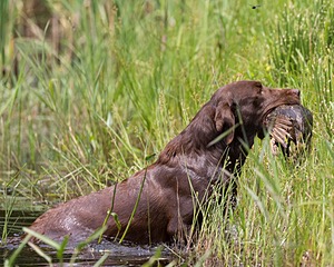 20160604-SEAW-0016.jpg