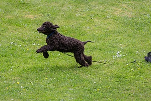 20190512-BD-0046.jpg