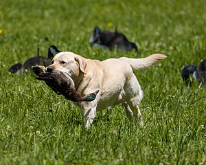 20220605-FINL-1619.jpg