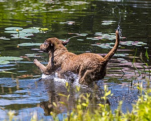 20210606-SEAW-1147.jpg
