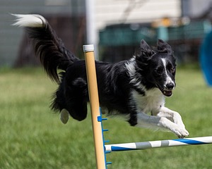 20200819-2381.jpg