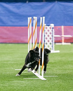 20150322-LEAP-1035.jpg