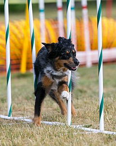 20150614-CCKC-0043.jpg