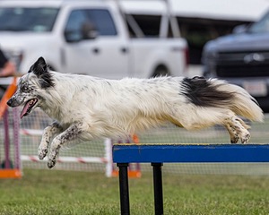 20230917-PVKC-2814.jpg