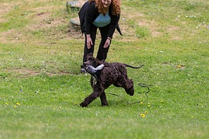 20190512-BD-0058.jpg