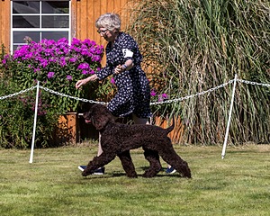 20210828-SW-0113.jpg