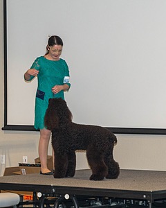 20190514-TEN-0038.jpg