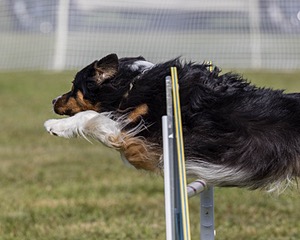 20230916-PVKC-1390.jpg