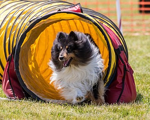 20180616-1239.jpg