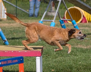 20200819-0752.jpg