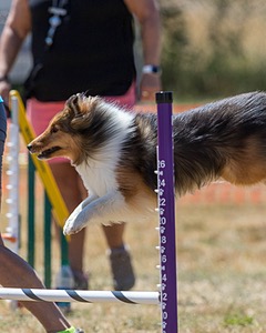 20160618-CCKC-1839.jpg