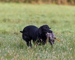20220925-SHL-0014.jpg