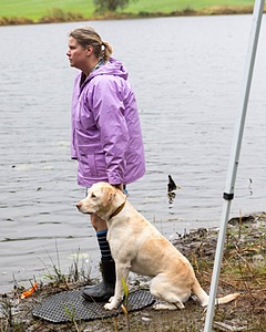 Comet Mead