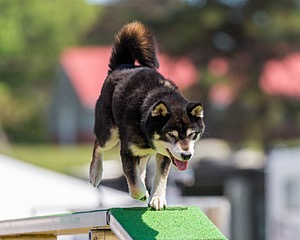 20180617-1405.jpg