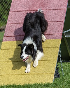 20200819-0353.jpg