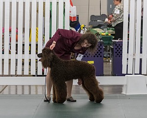 20190515-SW-0649.jpg