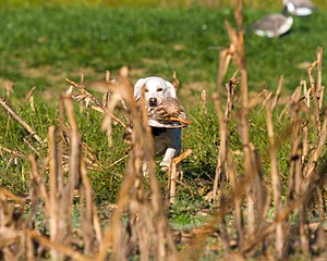 20061014-JHL-172.jpg