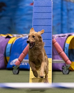 20260221-0859.jpg