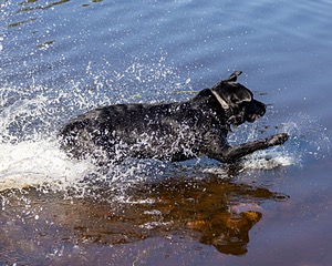 Enzo Ehrhorn