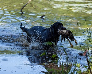 20220604-SHW-2276.jpg