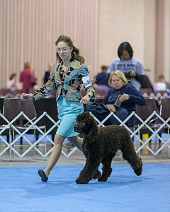 10 - Poole's Ide Touch Of Mink (Darla)
