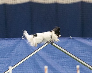 20150321-LEAP-1741.jpg