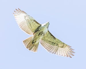 20160925-C-0034.jpg