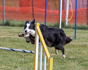 20200819-0387.jpg