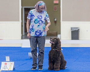 R26 - CH CUBOGLACH ROSY MAPLE RAE CAA BCAT SWME RATS DJ DN CGC TKN FTN
