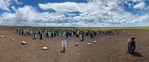 20191208-0302.jpg