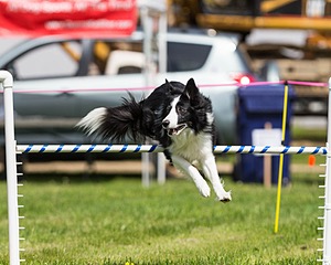 20160514-NEAT-1144.jpg