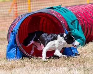 20160619-CCKC-0837.jpg