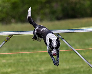 20170520-NEAT-1438.jpg