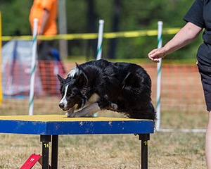 20160619-CCKC-1455.jpg