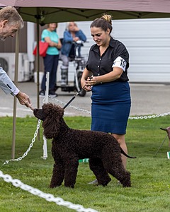 10 - RIVERDANCE DARLING DEMON