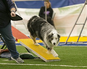 20150321-LEAP-1471.jpg